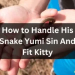 How to Handle His Snake Yumi Sin And Fit Kitty